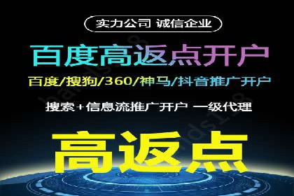 某某SEM团队成功案例：广告投放策略揭秘
